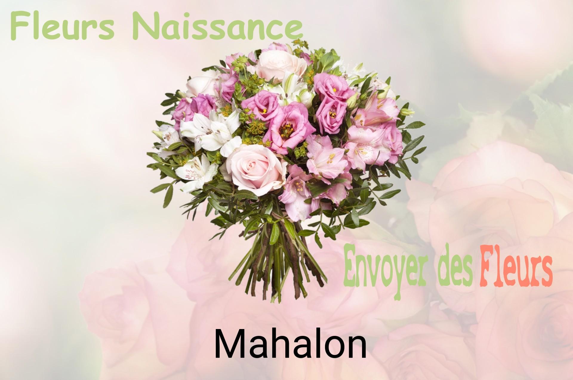 Bouquet de fleurs de naissance livré à Mahalon